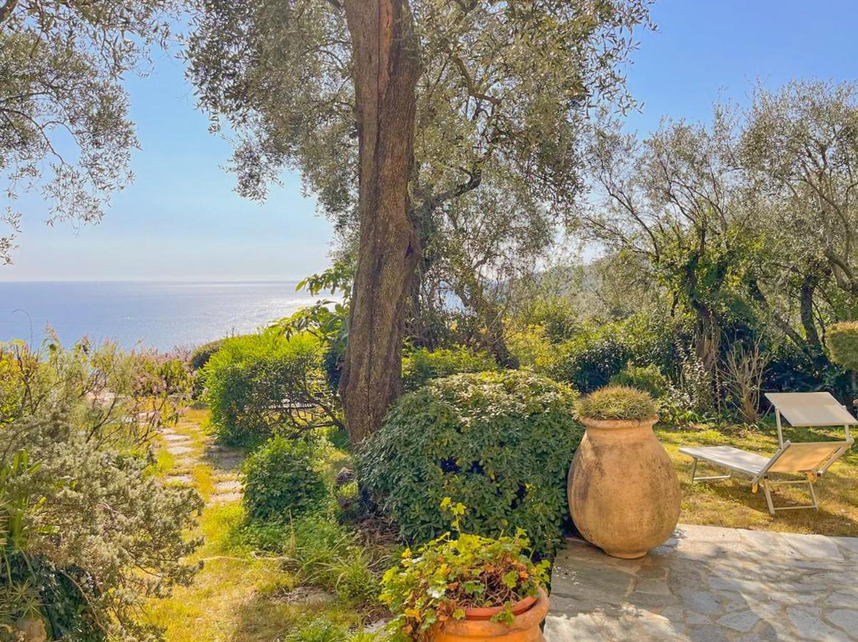 L'Uliveto Di Santa Con Piscina Villa Santa Margherita Ligure Bagian luar foto